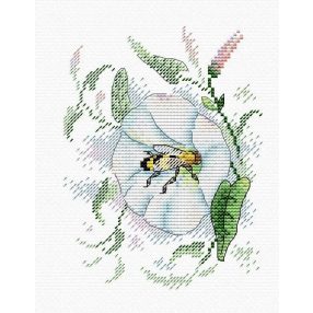 SM386 Nectar Freshness 16x12 cm