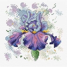 SM383 Lush Iris 12x12 cm