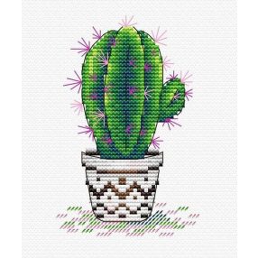SM382 Fresh Cactus 11x17 cm