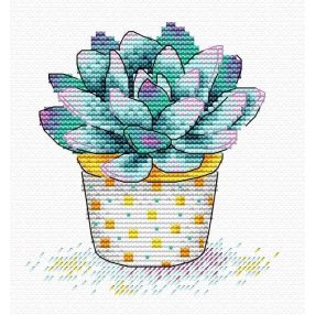 SM381 Succulent Splendour 11x11 cm