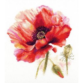 2-46 Bright Red Poppy 22x24 cm