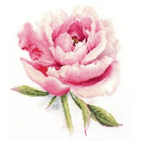 2-47 Tender Peony 22x24 cm