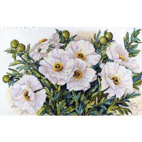 SK118 White Flowers 47x30 cm