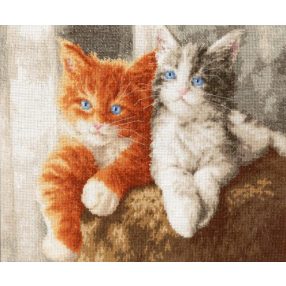 nl047 Fluffy Kittens 24,5x30,5 cm