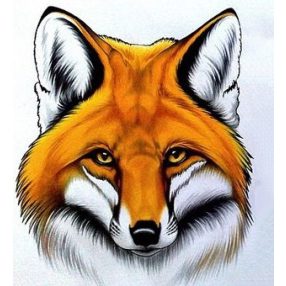 WD2375 Red Fox 20x20 cm