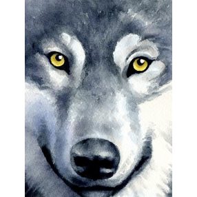 WD2361 Wolf Look 15x20 cm