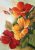 WD017 Flower Boom 27x38 cm