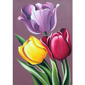 WD021 Tulip Aroma 27x38 cm