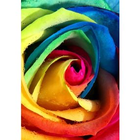WD023 Rainbow Rose 20x30 cm