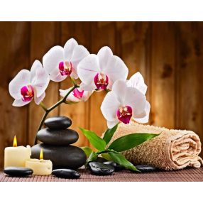 WD039 Aromatherapy 48x38 cm