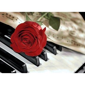 WD053 Rose Music 38x27 cm