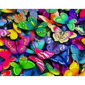 WD057 Rainbow Butterflies 48x38 cm