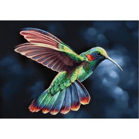 WD058 Tropic Bird 38x27 cm