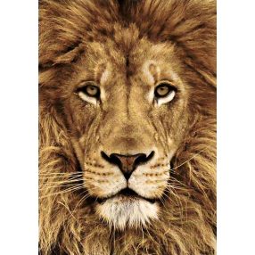 WD068 Lion 20x30 cm
