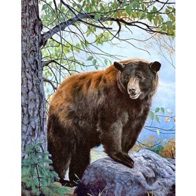 WD083 Brown Bear 38x48 cm