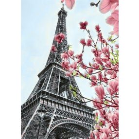 WD128 Paris 20x30 cm
