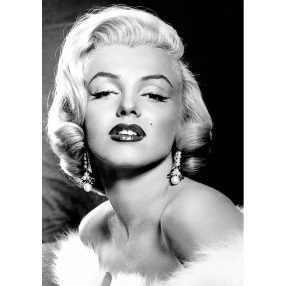 WD135 Marilyn Monroe 20x30 cm