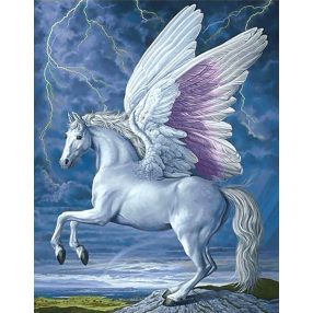 WD176 Pegasus 38x48 cm