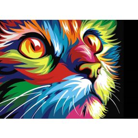 WD200 Rainbow Cat 38x27 cm
