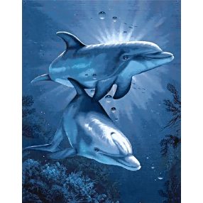 WD222 Dolphins 38x48 cm