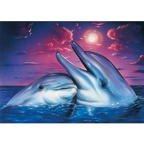 WD223 Dolphins 38x27 cm