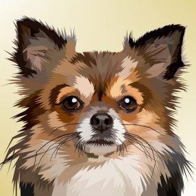WD2305 Dog Portrait 38x38 cm