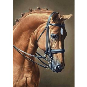 WD256 Horse Jumping 27x38 cm
