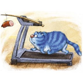 WD267 Fitness 40x30 cm