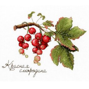 SNV695 Gifts of Nature. Red Currant 15x20 cm