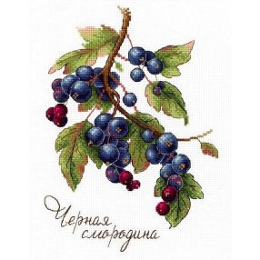 SNV694 Gifts of Nature. Black Currant 15x20 cm