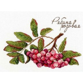 SNV693 Gifts of Nature. Pink Rowan 15x20 cm