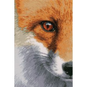 PN-0171836 Fox 18x27 cm