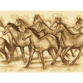 2457R Ménes 50x70 cm