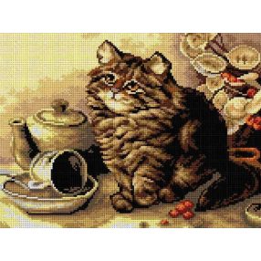 2768J Cirmos 30x40 cm