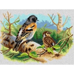 3065J Archibald Thorburn -  Madarak 30x40 cm