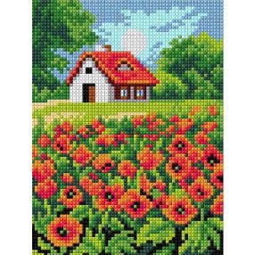 2874E Pipacsföld 15x20 cm