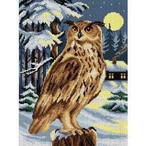 2977J Bagoly 30x40 cm