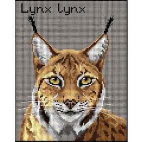 3012H Lynx lynx 24x30 cm