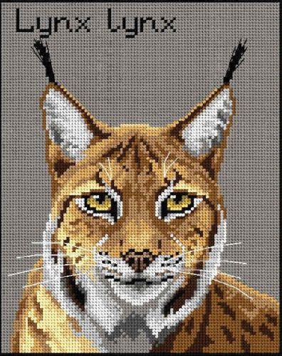 3012H Lynx lynx 24x30 cm