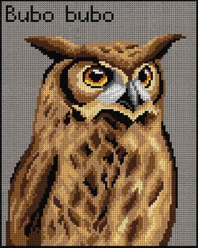 3016H Bubo bubo 24x30 cm