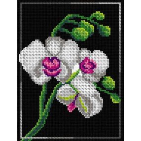 3010F Orchidea feketén 18x24 cm