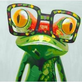 WD2373 Colourful Frog 20x20 cm