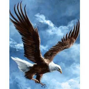 WD2346 Sky Conqueror 38x48 cm