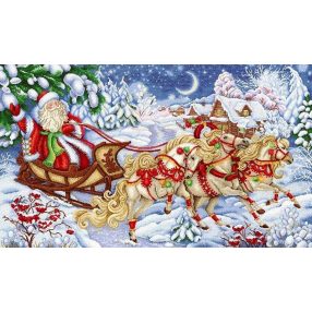 SNV669 Winter Troika 40x65 cm