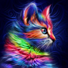 AZ1777 Colourful Kitten 30x30 cm