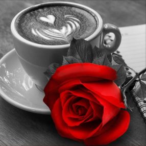 AZ1773 Rose and Coffee 25x25 cm