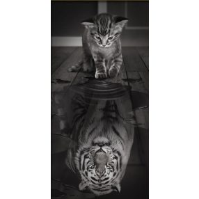 AZ1771 Tiger Inside 30x60 cm