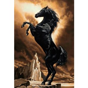 WD2391 Strong Horse 48x70 cm
