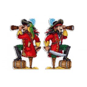 SR450 Brave Pirate  19x12 cm