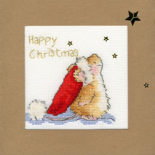 xmas20 Csillagleső 10x10 cm